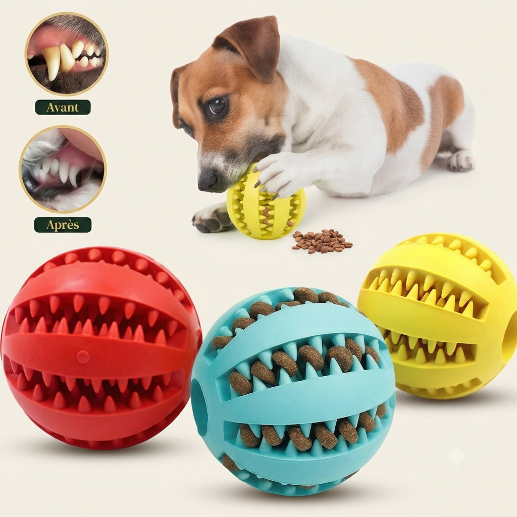 Balle Interactive pour Chien — Distributrice de Friandises & Nettoyage Dentaire