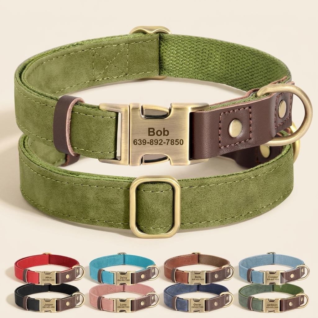 Collier Cuir Personnalisé pour Chien — Gravure Nom & Numéro