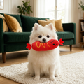Jouet Peluche Saucisse Couinante — Chien