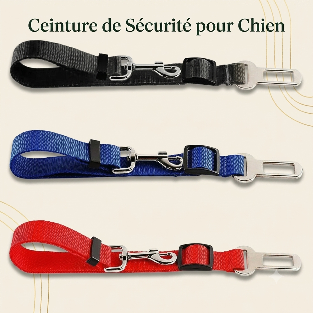Ceinture de Sécurité pour Chien — Adaptateur Voiture Toutes Races