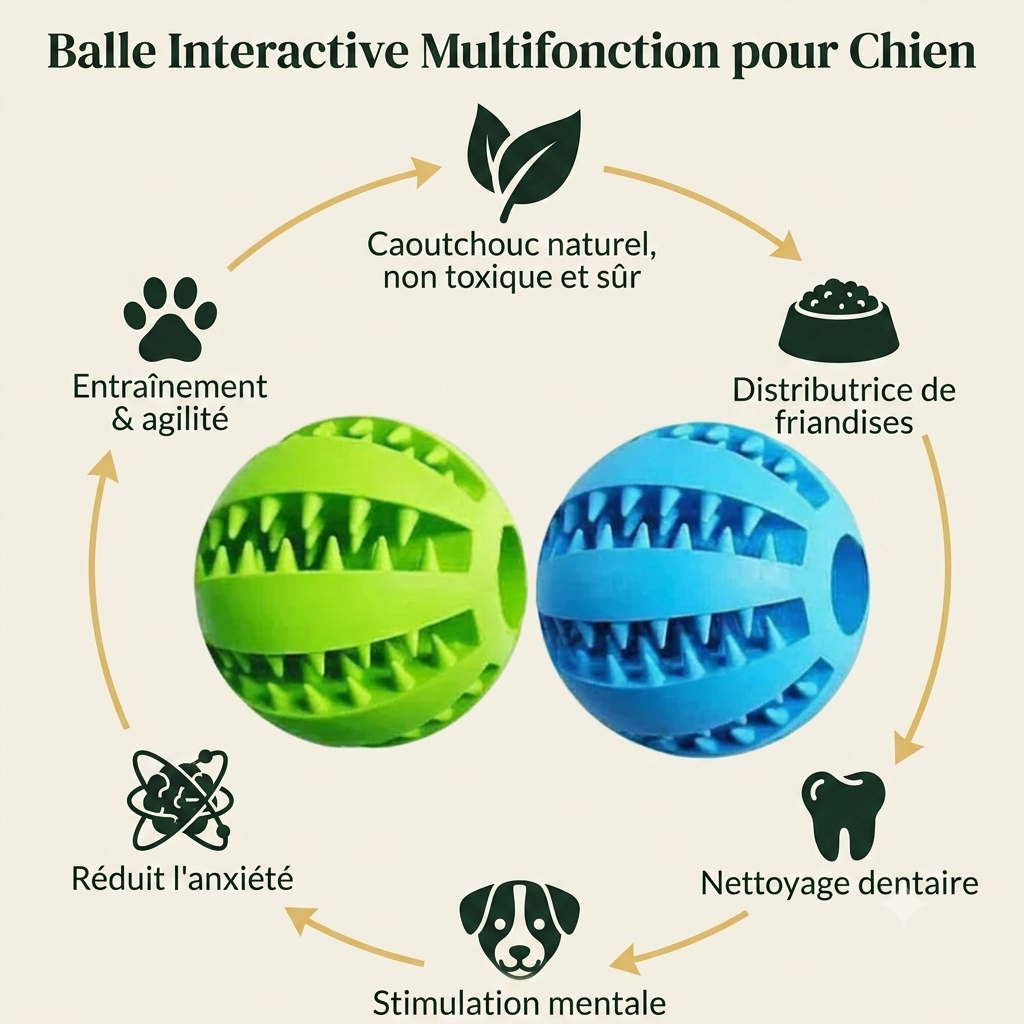 Balle Interactive pour Chien — Distributrice de Friandises & Nettoyage Dentaire