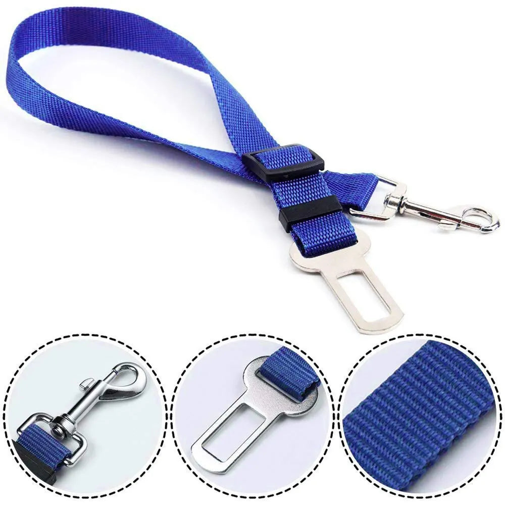 Ceinture de Sécurité pour Chien — Adaptateur Voiture Toutes Races