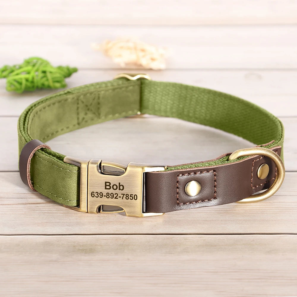 Collier Cuir Personnalisé pour Chien — Gravure Nom & Numéro
