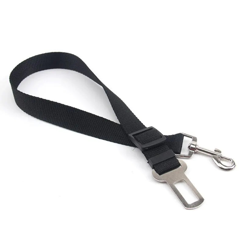Ceinture de Sécurité pour Chien — Adaptateur Voiture Toutes Races