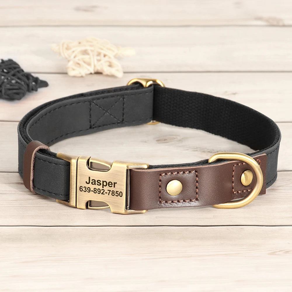 Collier Cuir Personnalisé pour Chien — Gravure Nom & Numéro