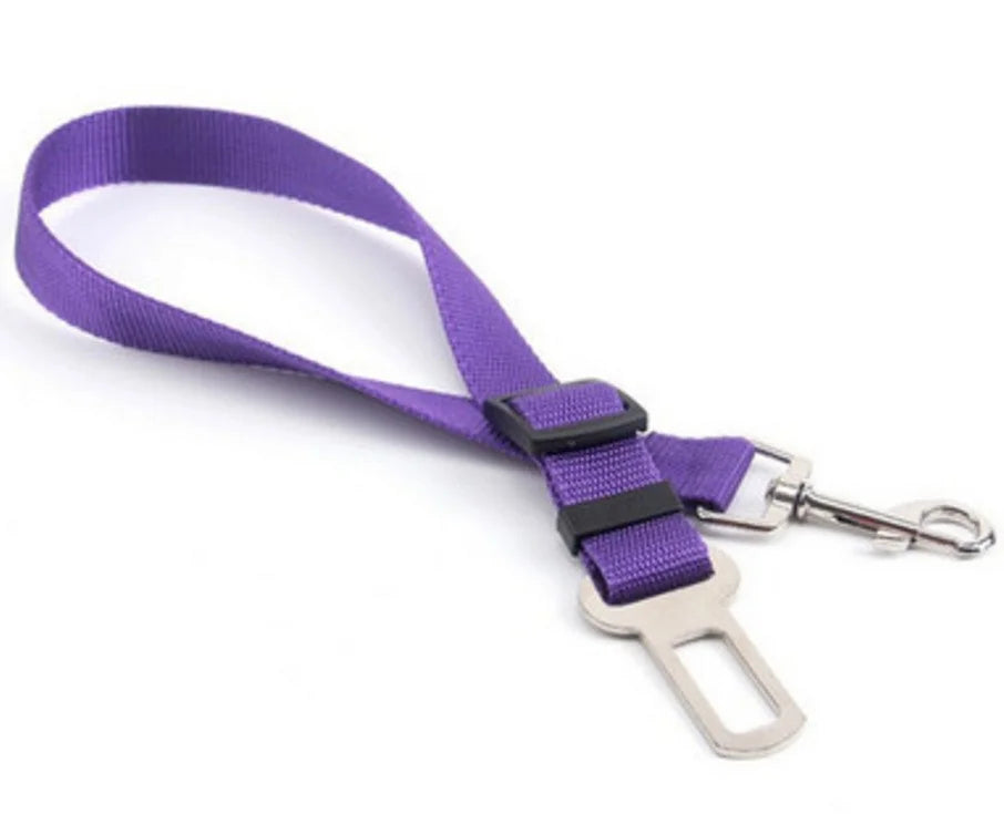Ceinture de Sécurité pour Chien — Adaptateur Voiture Toutes Races