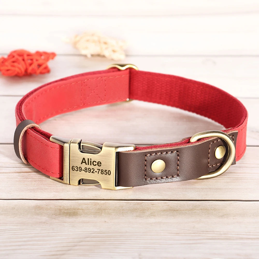 Collier Cuir Personnalisé pour Chien — Gravure Nom & Numéro