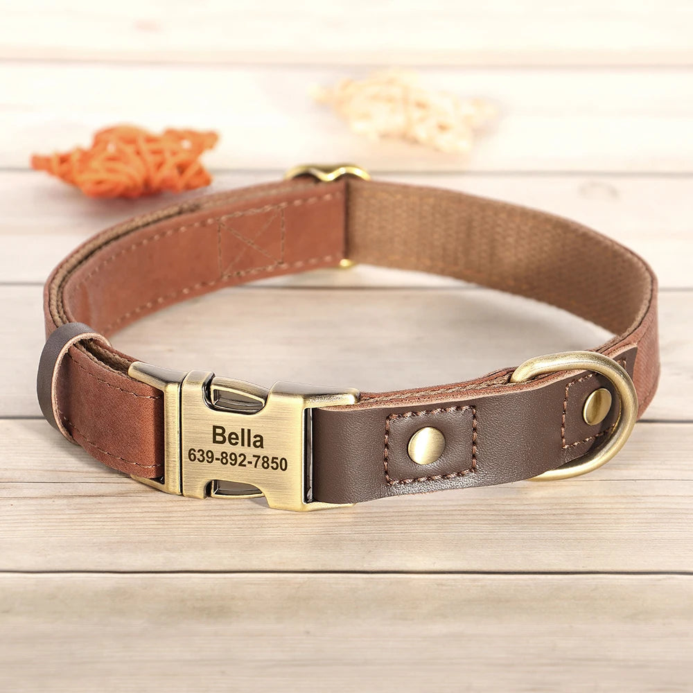 Collier Cuir Personnalisé pour Chien — Gravure Nom & Numéro