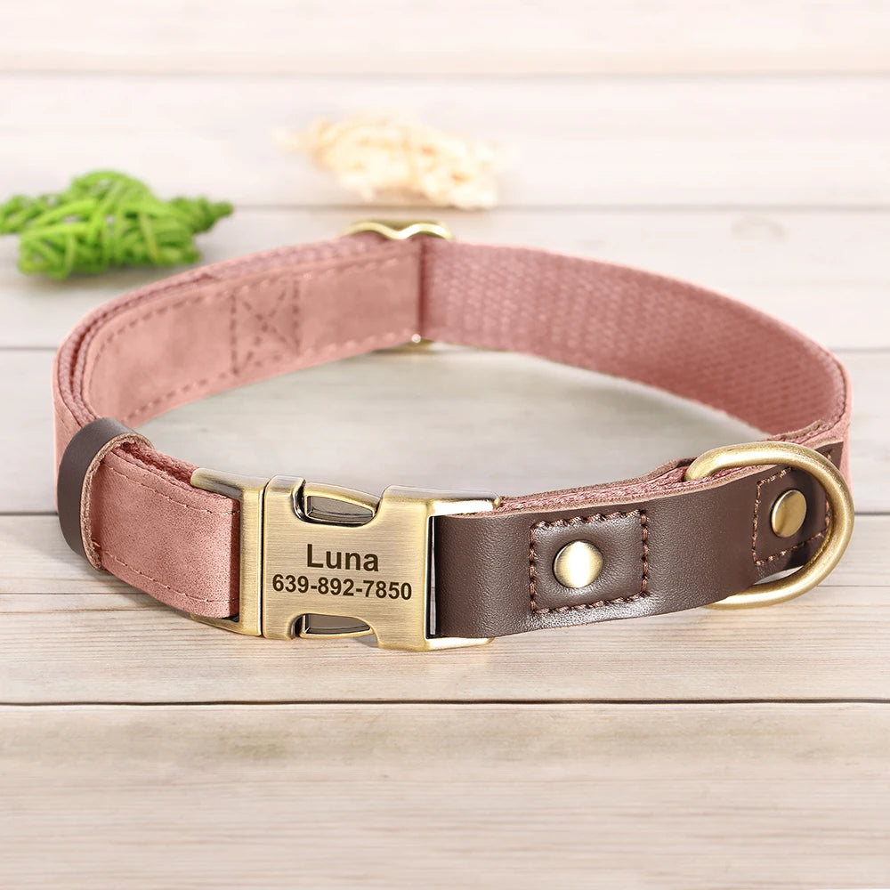 Collier Cuir Personnalisé pour Chien — Gravure Nom & Numéro