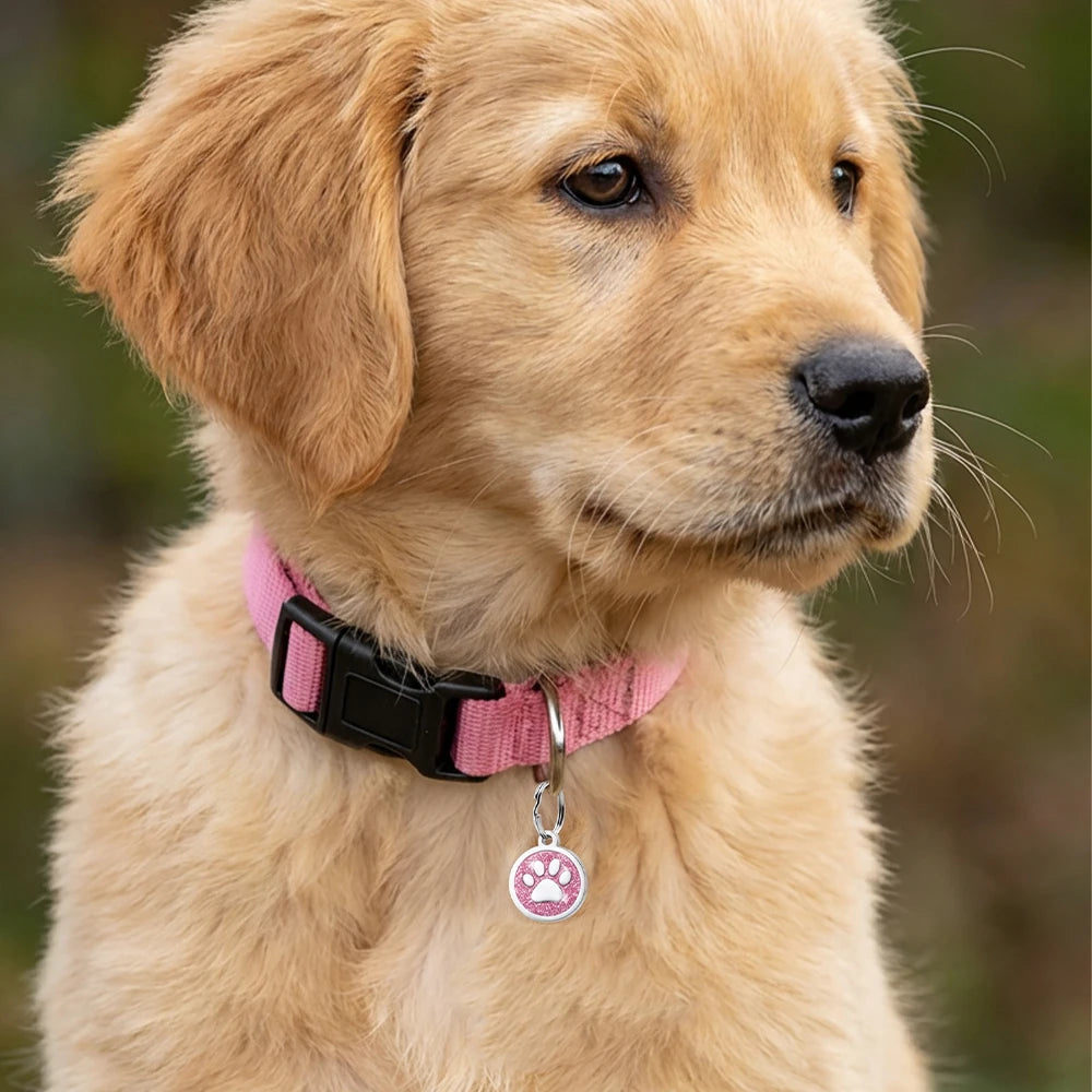 Médaille Gravée Personnalisée pour Chien & Chat — Gravure Offerte