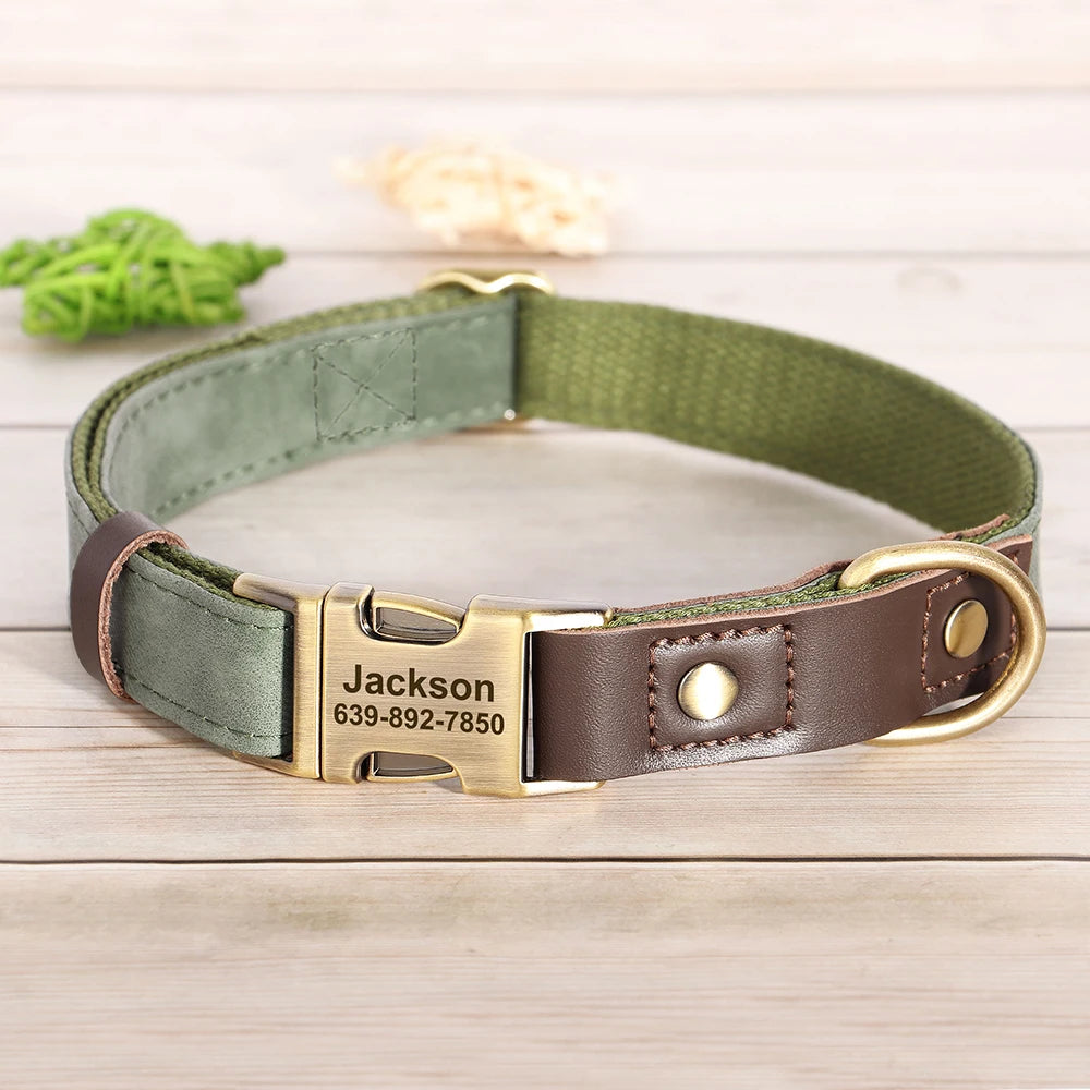 Collier Cuir Personnalisé pour Chien — Gravure Nom & Numéro