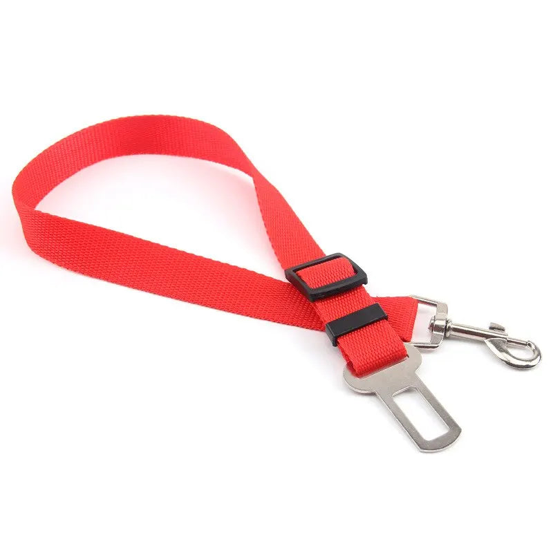 Ceinture de Sécurité pour Chien — Adaptateur Voiture Toutes Races